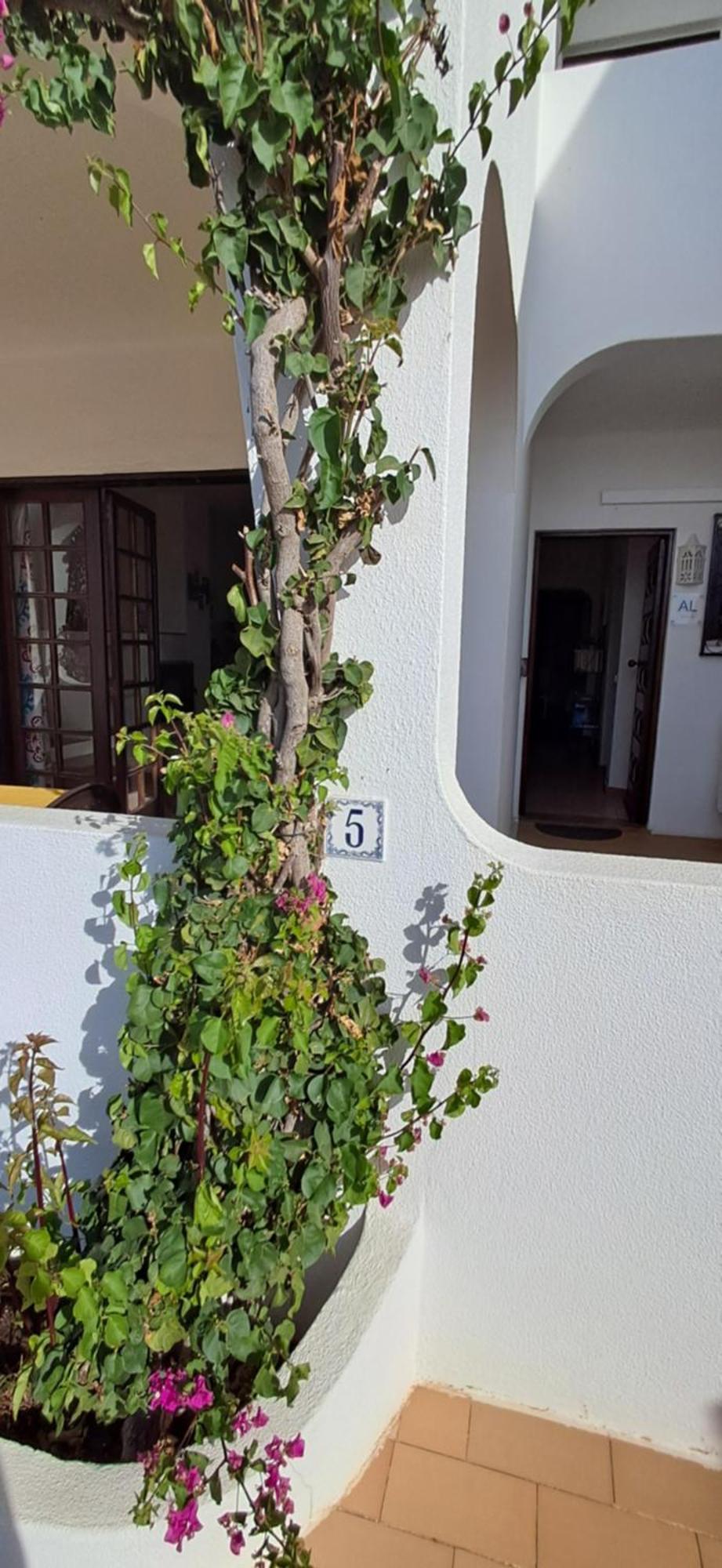 Apartamento Neptuno Benagil Buitenkant foto